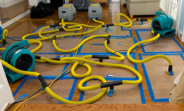 Professional Flood Damage Restoration technician working in Metamora, IN